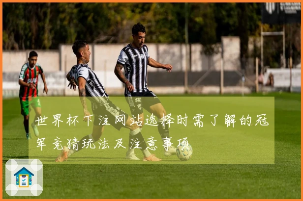 世界杯下注网站选择时需了解的冠军竞猜玩法及注意事项