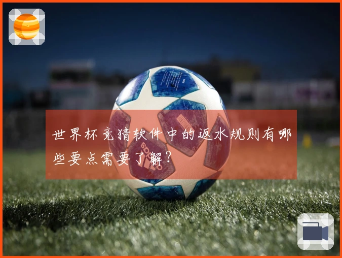 世界杯竞猜软件中的返水规则有哪些要点需要了解？