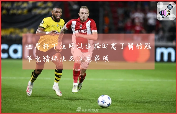 世界杯下注网站选择时需了解的冠军竞猜玩法及注意事项