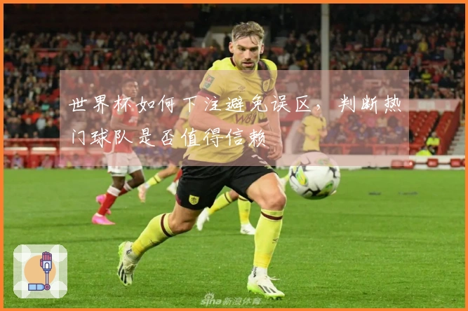 世界杯如何下注避免误区，判断热门球队是否值得信赖