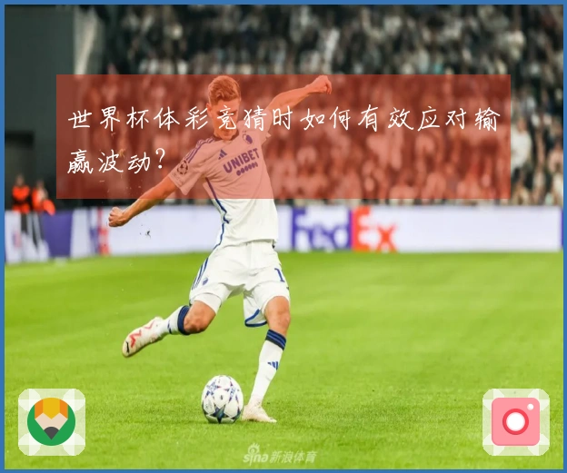 世界杯体彩竞猜时如何有效应对输赢波动？