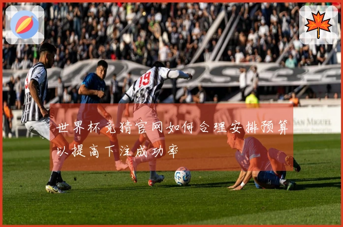 世界杯竞猜官网如何合理安排预算以提高下注成功率